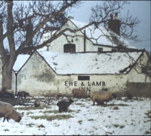 Ewe and Lamb Inn.